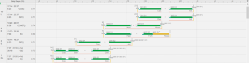 Figure 3 – Example of a solution produced by CREWS for the shift scheduling.