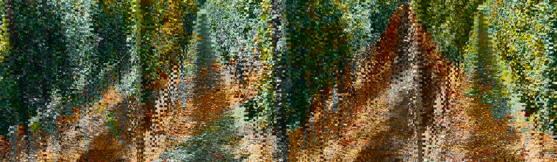 Agricultura
Inteligente Agricultura
Inteligente